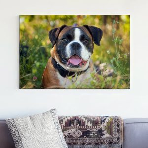 Photo Canvas Prints Wall Art